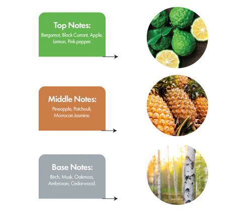 FUSIOIN – Where Elegance Meets Energy