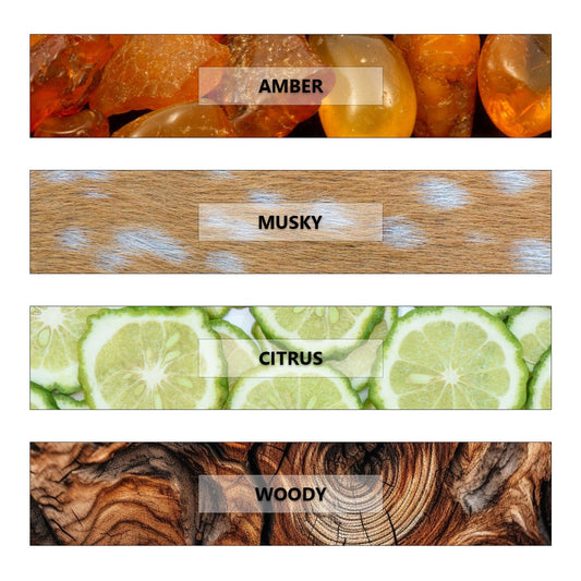 BOSS- The Signature of Success