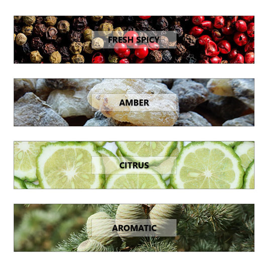 SAVAGE TIDE- For the Untamed Soul